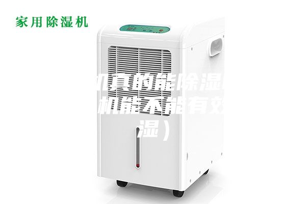 除湿机真的能除湿吗(除湿机能不能有效除湿)