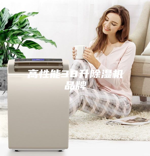 高性能38升除湿机品牌