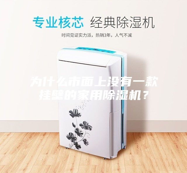 为什么市面上没有一款挂壁的家用除湿机？