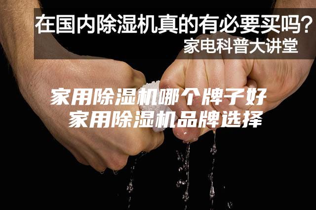 家用除湿机哪个牌子好 家用除湿机品牌选择