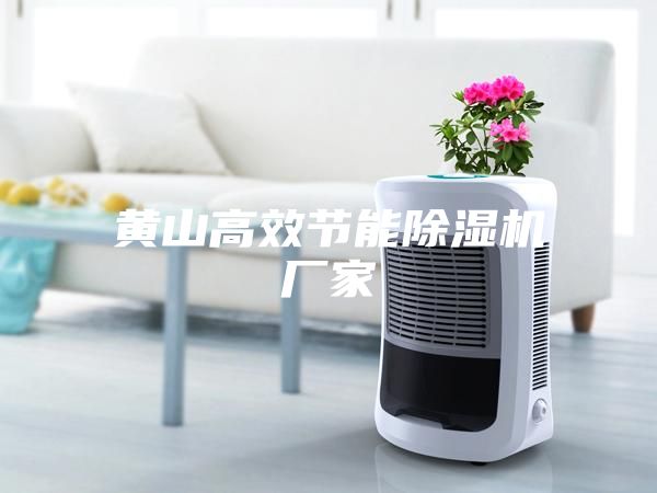 黄山高效节能除湿机厂家