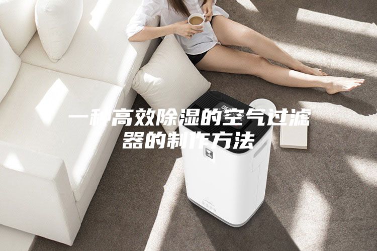 一种高效除湿的空气过滤器的制作方法