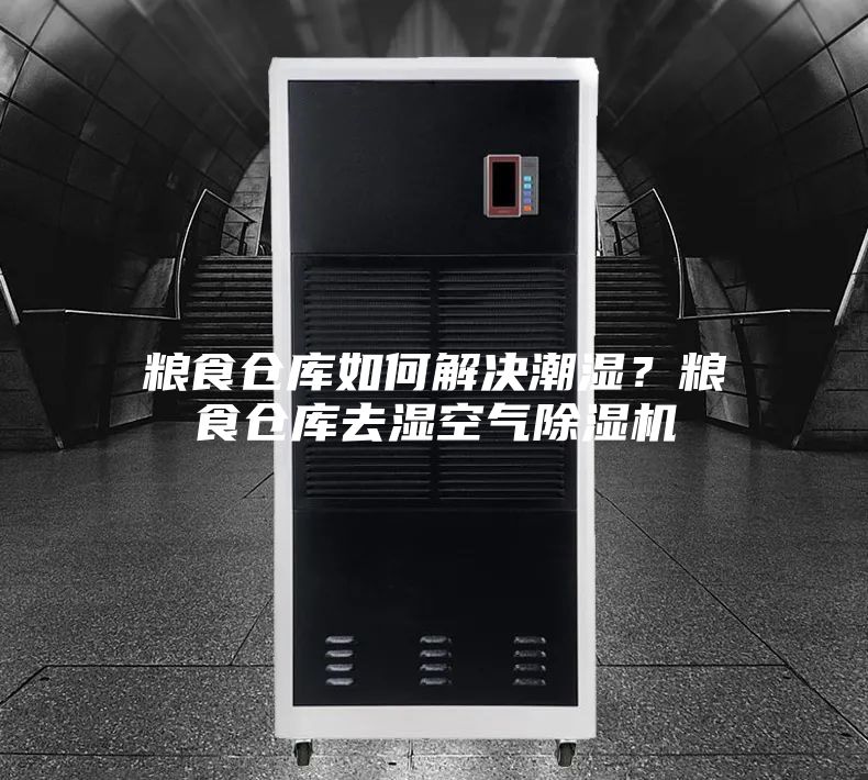 粮食仓库如何解决潮湿？粮食仓库去湿空气除湿机
