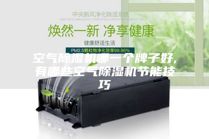 空气除湿机哪一个牌子好,有哪些空气除湿机节能技巧