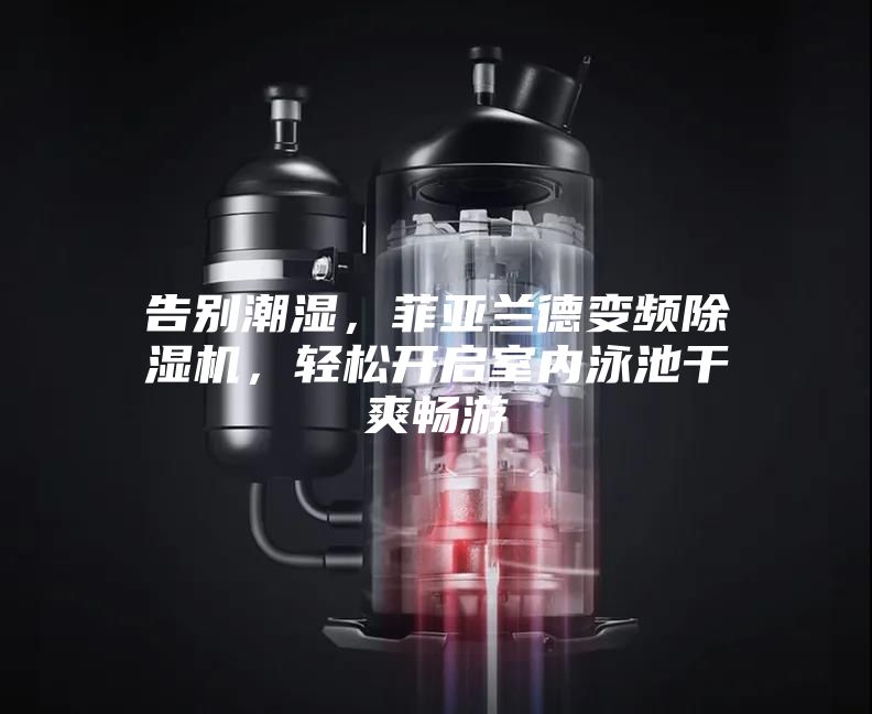 告别潮湿，菲亚兰德变频除湿机，轻松开启室内泳池干爽畅游