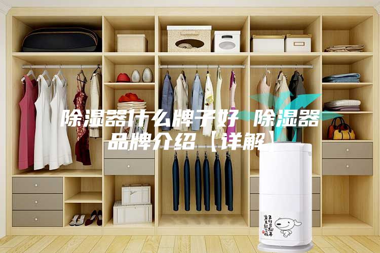 除湿器什么牌子好 除湿器品牌介绍【详解】