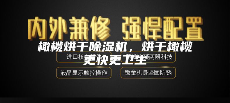 橄榄烘干除湿机，烘干橄榄更快更卫生