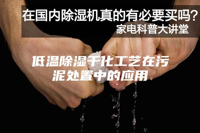 低温除湿干化工艺在污泥处置中的应用