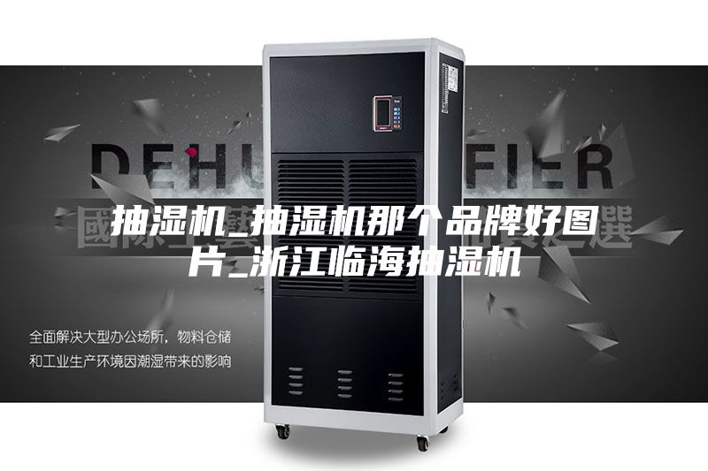 抽湿机_抽湿机那个品牌好图片_浙江临海抽湿机