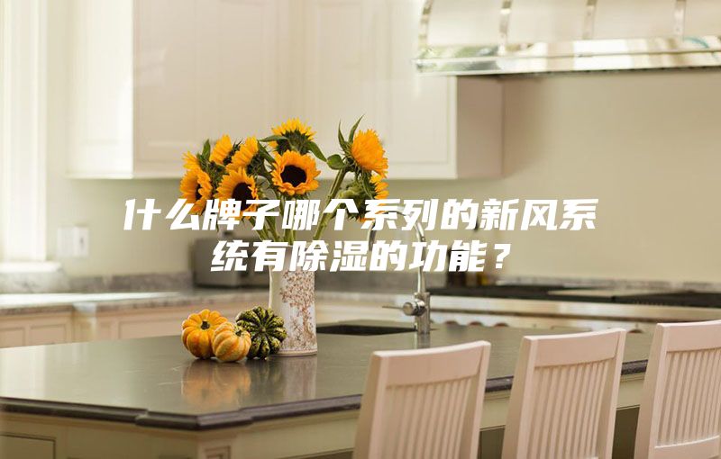 什么牌子哪个系列的新风系统有除湿的功能？