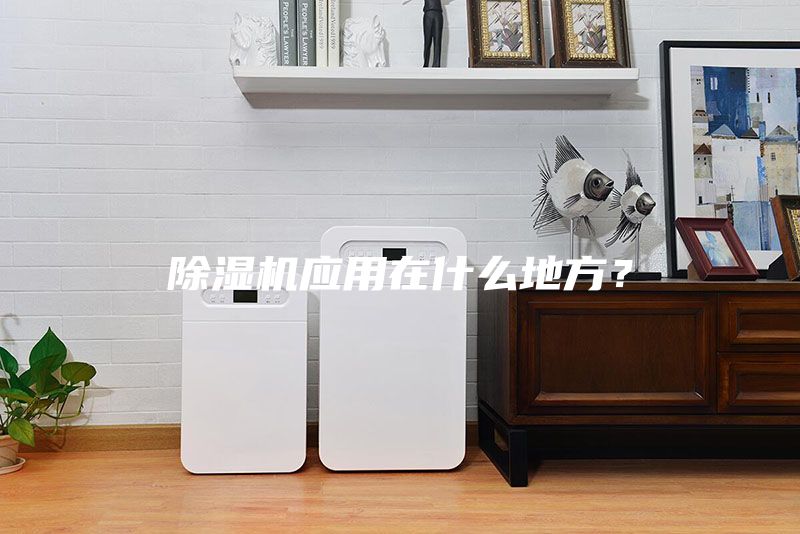 除湿机应用在什么地方？