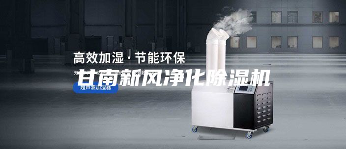 甘南新风净化除湿机