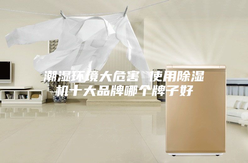 潮湿环境大危害 使用除湿机十大品牌哪个牌子好