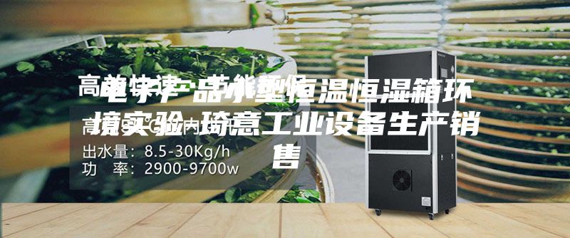 电子产品小型恒温恒湿箱环境实验-琦意工业设备生产销售