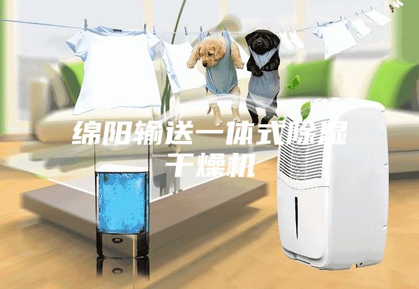 绵阳输送一体式除湿干燥机