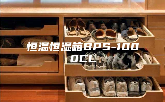 恒温恒湿箱BPS-1000CL