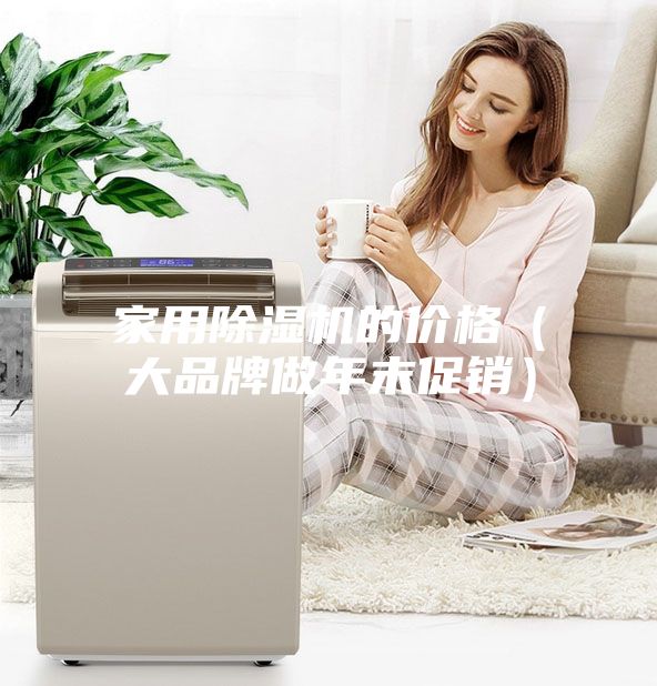 家用除湿机的价格（大品牌做年末促销）