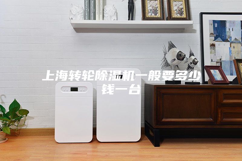上海转轮除湿机一般要多少钱一台