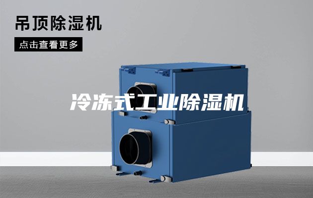 冷冻式工业除湿机