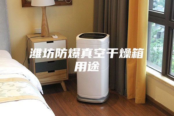 潍坊防爆真空干燥箱用途