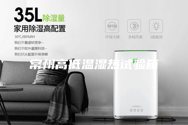 常州高低温湿热试验箱
