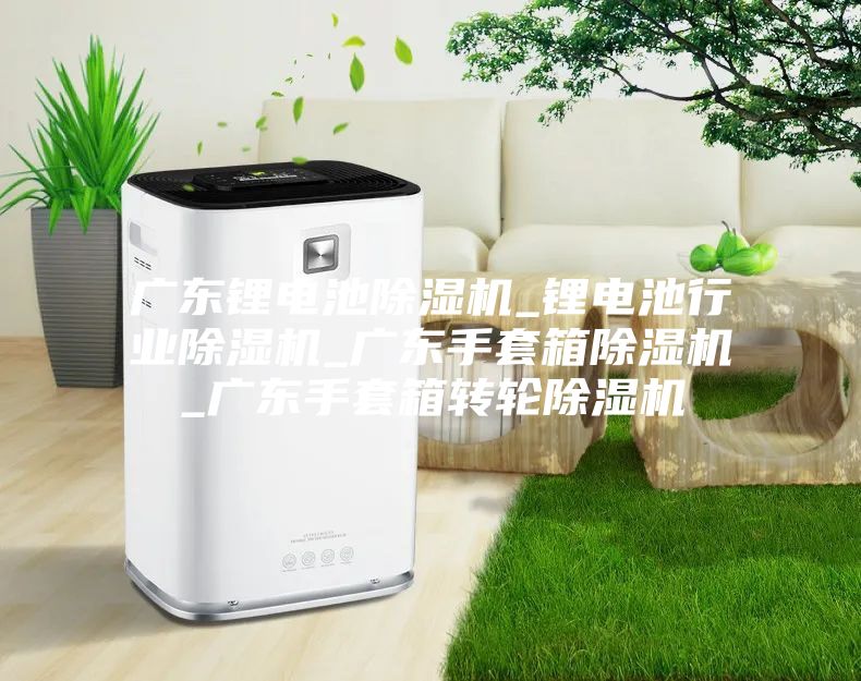 广东锂电池除湿机_锂电池行业除湿机_广东手套箱除湿机_广东手套箱转轮除湿机