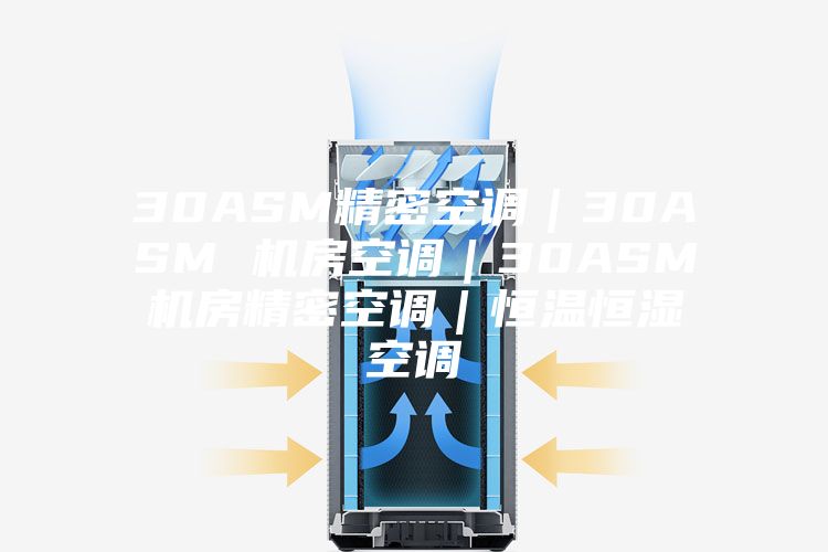 30ASM精密空调｜30ASM 机房空调｜30ASM机房精密空调｜恒温恒湿空调