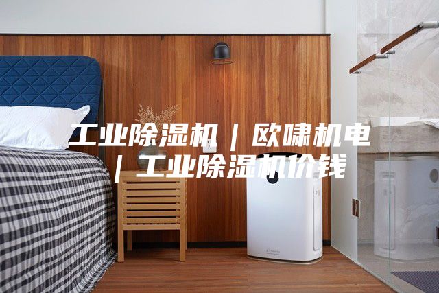 工业除湿机｜欧啸机电｜工业除湿机价钱