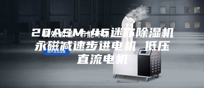 20ASM-46迷你除湿机永磁减速步进电机 低压直流电机