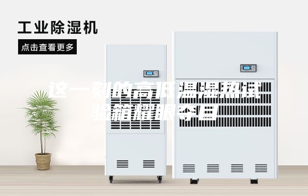 这一刻的高低温湿热试验箱耀眼夺目