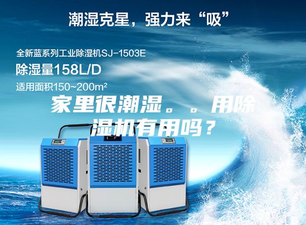 家里很潮湿。。用除湿机有用吗？