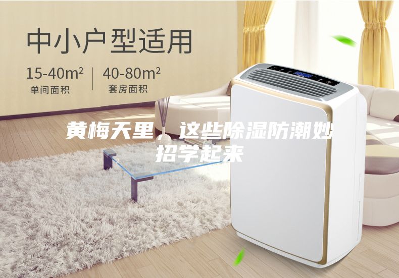 黄梅天里，这些除湿防潮妙招学起来