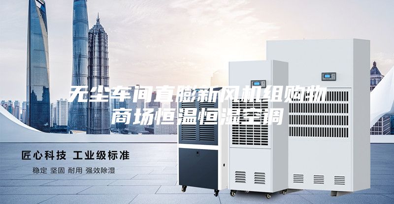 无尘车间直膨新风机组购物商场恒温恒湿空调
