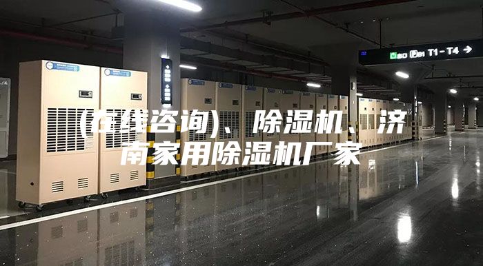 (在线咨询)、除湿机、济南家用除湿机厂家