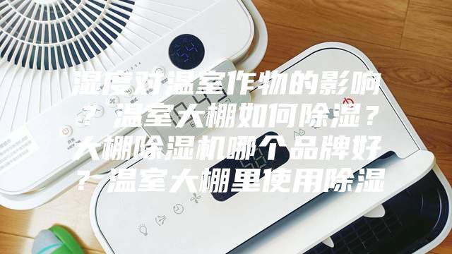 湿度对温室作物的影响？温室大棚如何除湿？大棚除湿机哪个品牌好？温室大棚里使用除湿