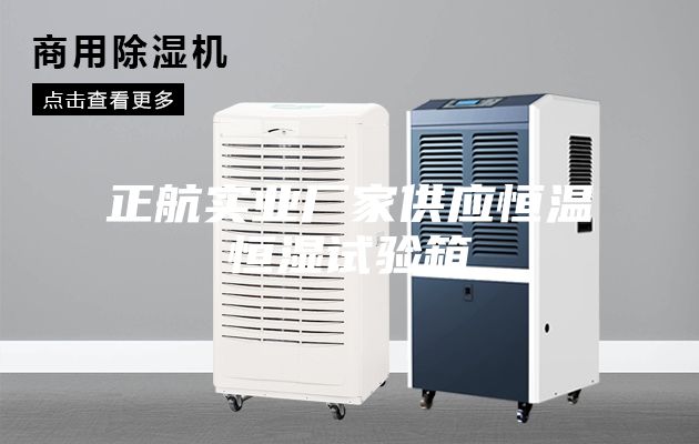 正航实业厂家供应恒温恒湿试验箱