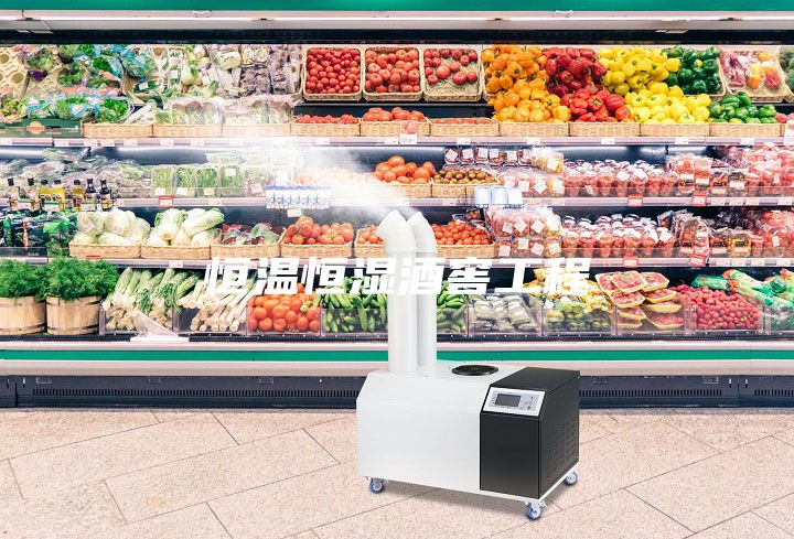 恒温恒湿酒窖工程