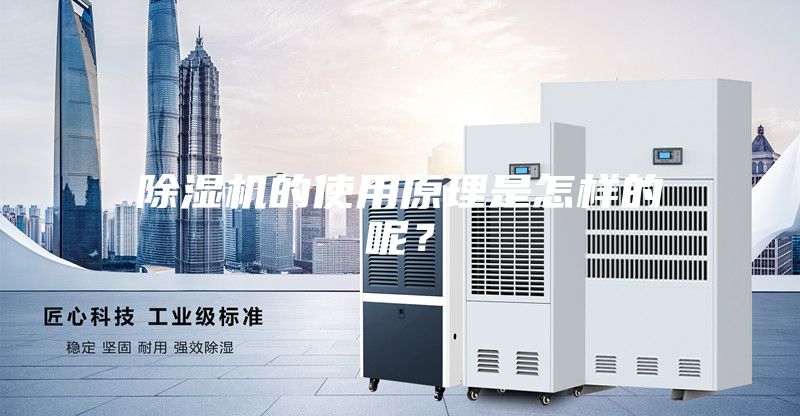 除湿机的使用原理是怎样的呢？