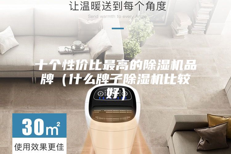 十个性价比最高的除湿机品牌（什么牌子除湿机比较好）