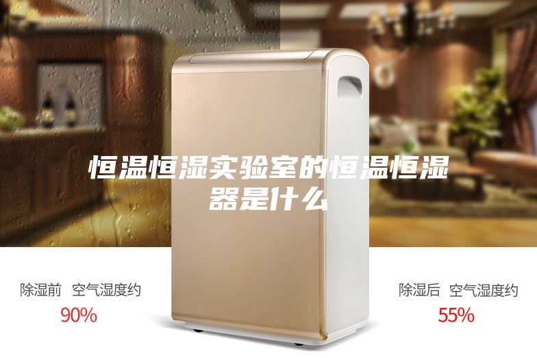 恒温恒湿实验室的恒温恒湿器是什么
