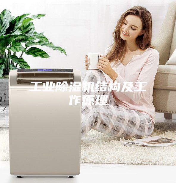 工业除湿机结构及工作原理