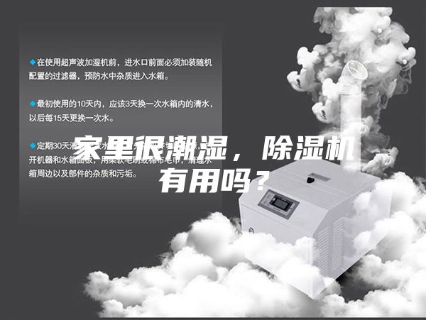 家里很潮湿，除湿机有用吗？