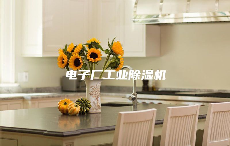 电子厂工业除湿机