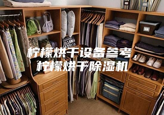 柠檬烘干设备参考，柠檬烘干除湿机