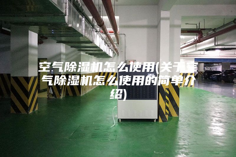 空气除湿机怎么使用(关于空气除湿机怎么使用的简单介绍)