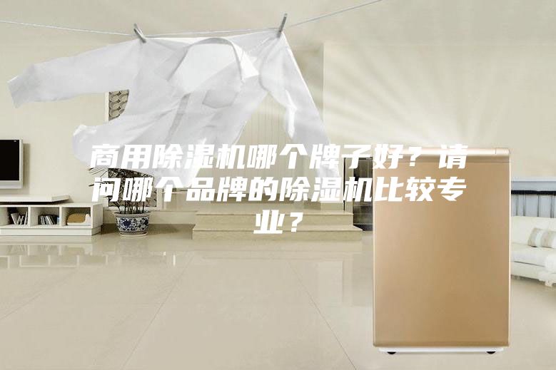 商用除湿机哪个牌子好？请问哪个品牌的除湿机比较专业？