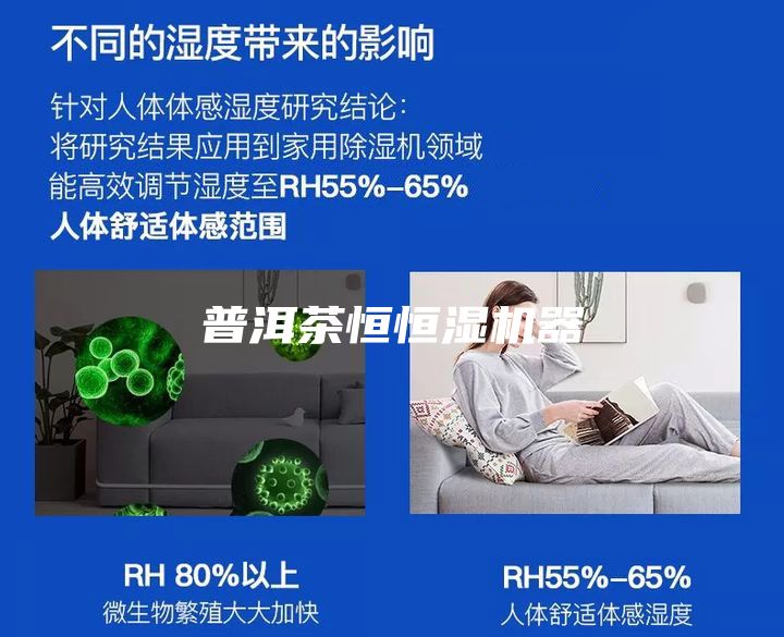 普洱茶恒恒湿机器