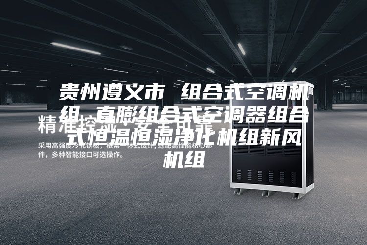贵州遵义市 组合式空调机组 直膨组合式空调器组合式恒温恒湿净化机组新风机组