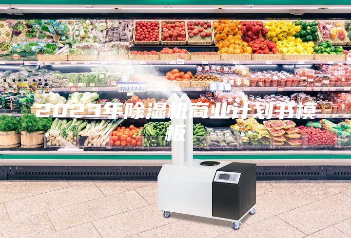 2023年除湿机商业计划书模板