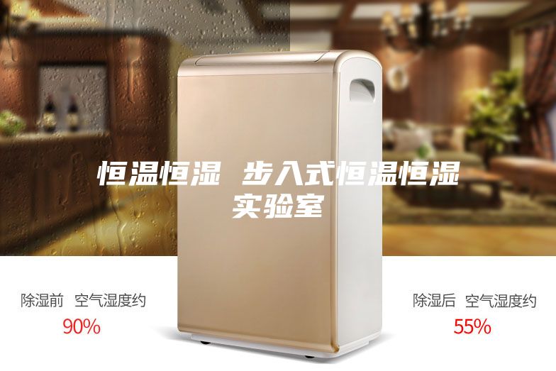 恒温恒湿 步入式恒温恒湿实验室